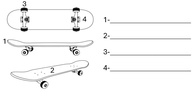 Atividade de Educação Física sobre Skate