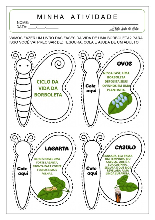 Atividades sobre o Ciclo da Borboleta para Educação Infantil - Tudo ...