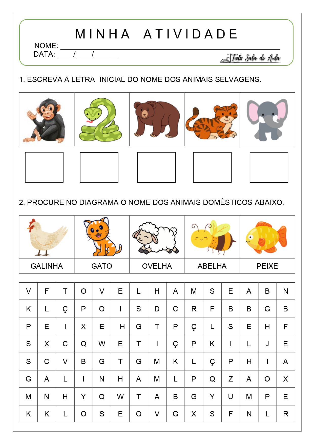 animais domésticos e selvagens atividades