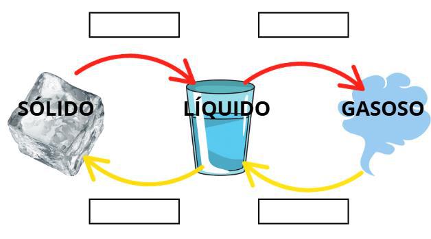 Atividade sobre ciclo da água