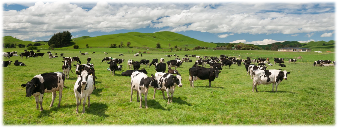 atividade agricultura e pecuária