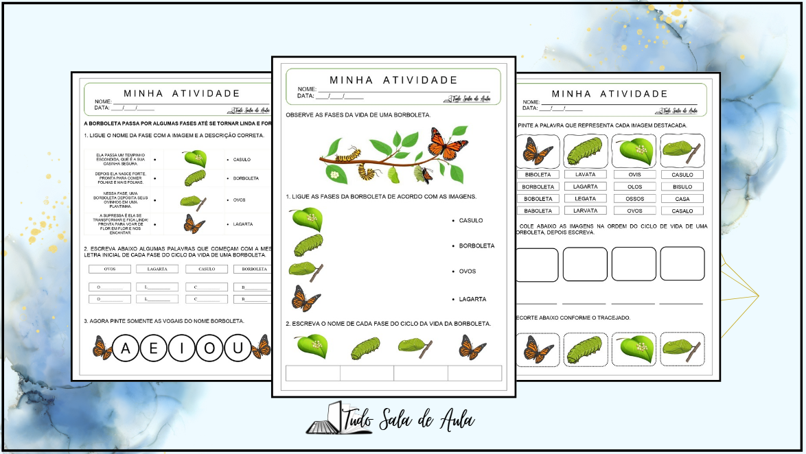 ciclo de vida da borboleta para educação infantil