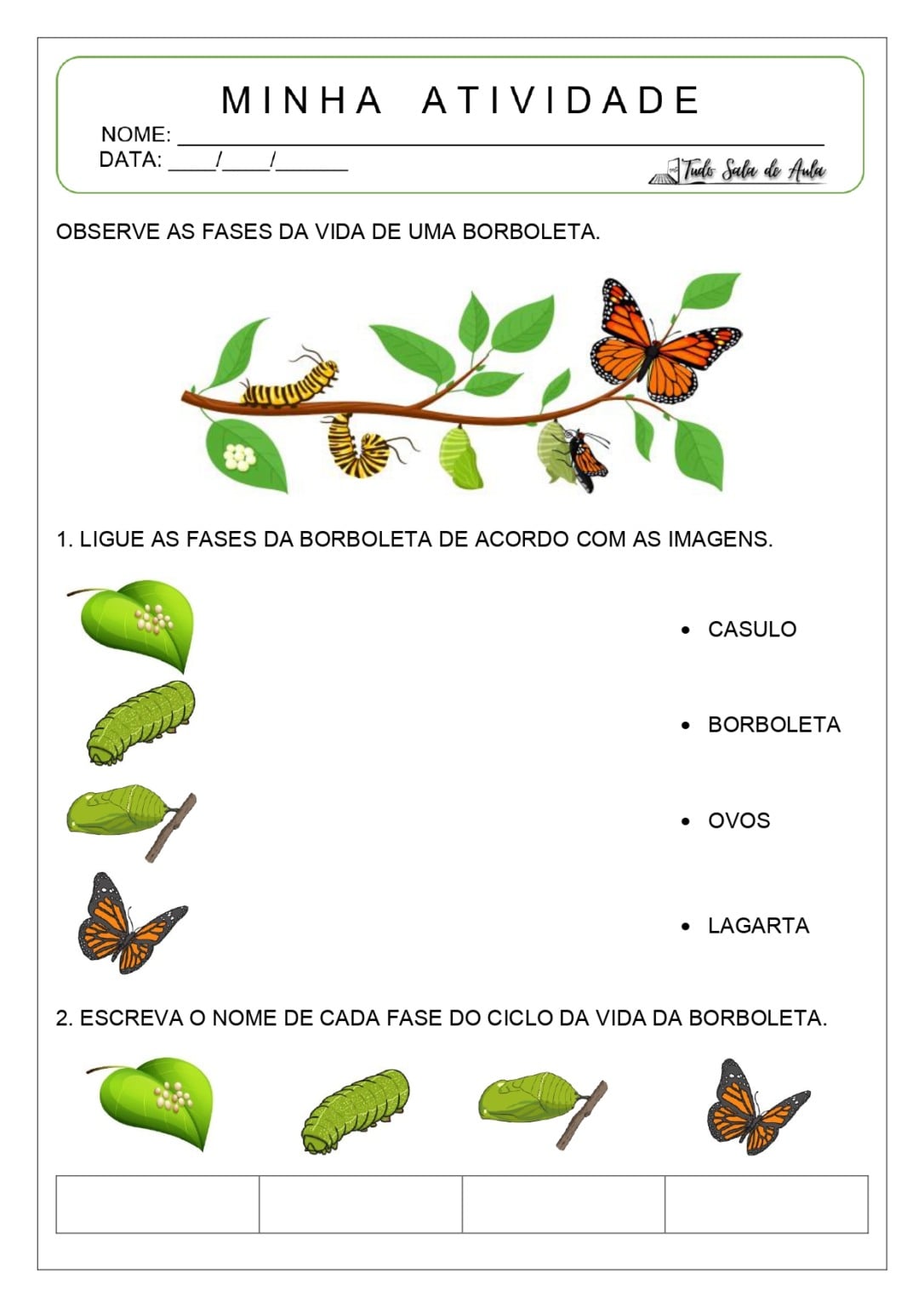 Atividades sobre o Ciclo da Borboleta para Educação Infantil - Tudo ...