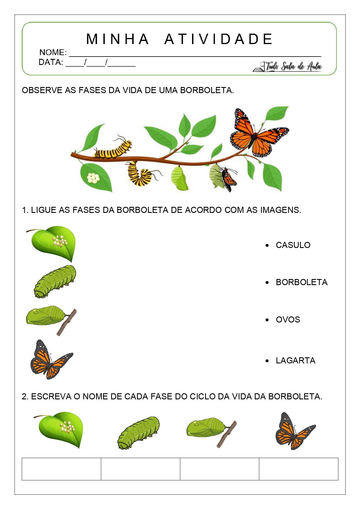 ciclo de vida da borboleta para educação infantil