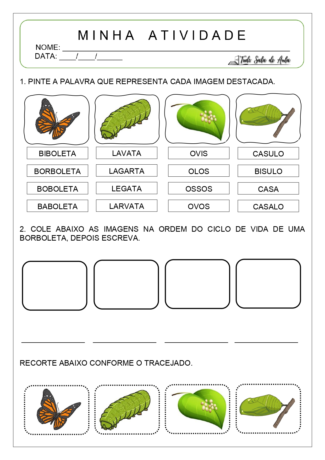 ciclo de vida da borboleta para educação infantil
