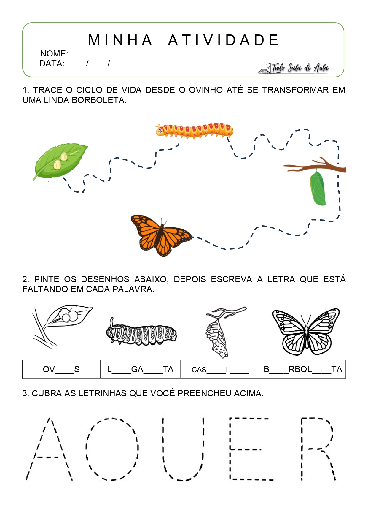 ciclo de vida da borboleta para educação infantil