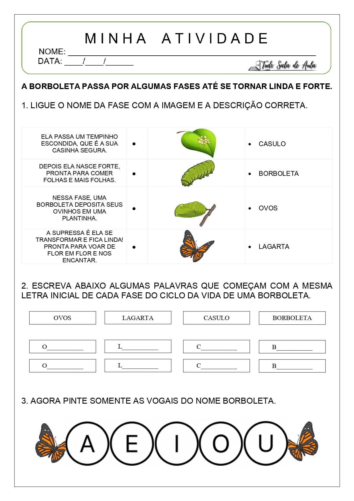 ciclo de vida da borboleta para educação infantil