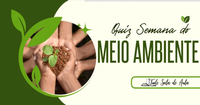 Atividade Lúdica com Perguntas e Respostas sobre o Meio Ambiente