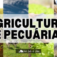 Atividade sobre Agricultura e Pecuária para o 6º ano