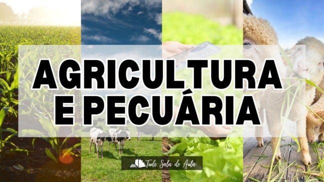 Atividade sobre Agricultura e Pecuária para o 6º ano