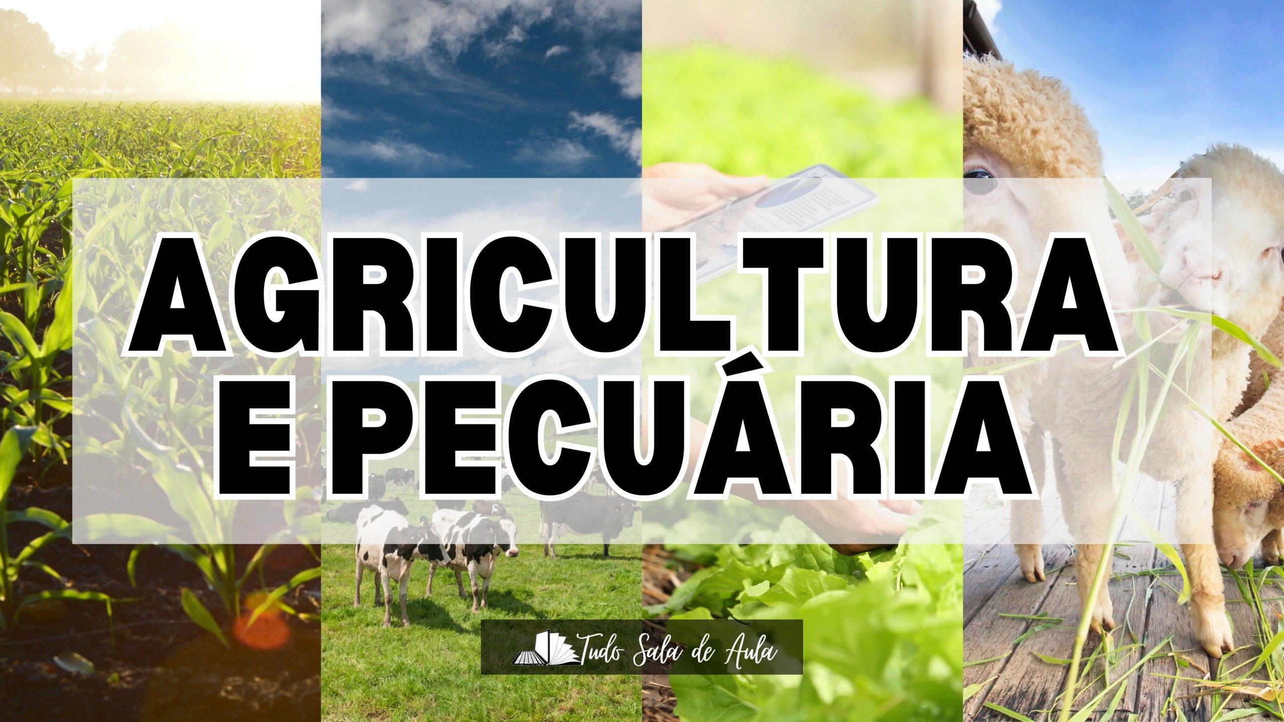 atividade agricultura e pecuária