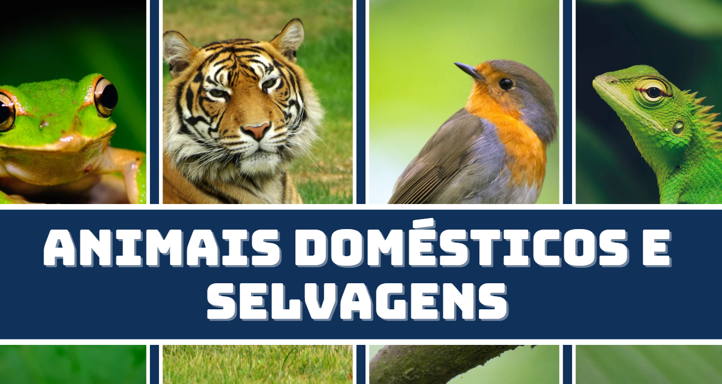 atividade animais domésticos e selvagens
