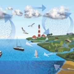 ciclo-da-agua