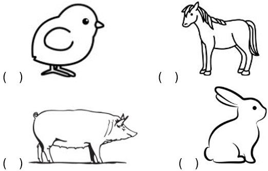 Farm Animals Atividade Lúdica de Inglês