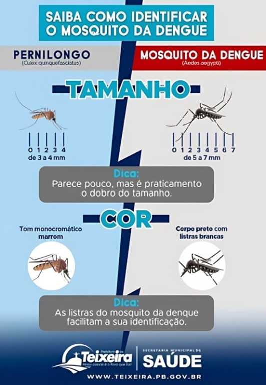Atividade interpretaçao de infográficos