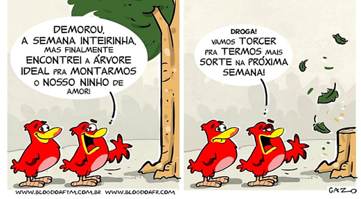 atividades consciência ambiental 