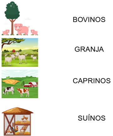 atividade pecuária 3º ano