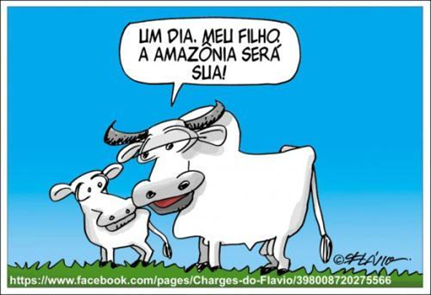 atividade pecuária 3º ano