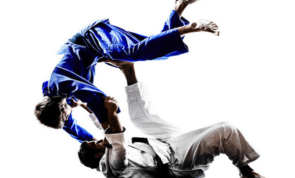 Atividade sobre Jiu-Jitsu