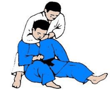 Atividade sobre Jiu-Jitsu