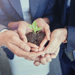Atividade sobre Valores Humanos para o 4º ano