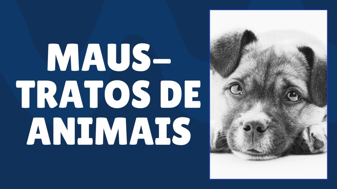 atividade sobre maus tratos a animais