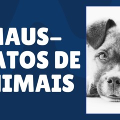 Maus-Tratos de Animais: Atividade Reflexiva para Anos Finais