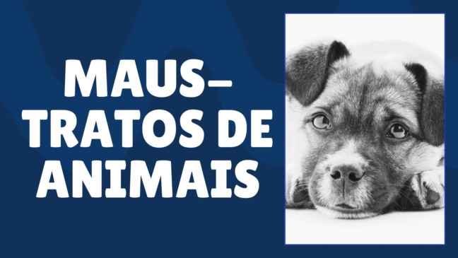 Maus-Tratos de Animais: Atividade Reflexiva para Anos Finais