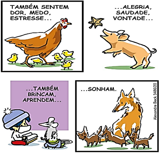 atividade maus-tratos de animais