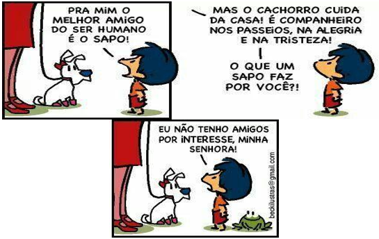 atividade maus-tratos de animais