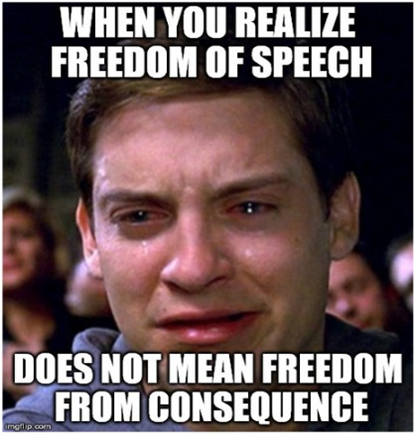 atividade liberdade de expressão