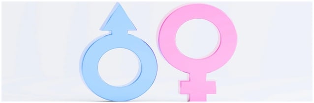 Atividade sobre Sexualidade para Anos Finais