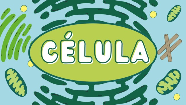 Atividade sobre Célula para Anos Finais