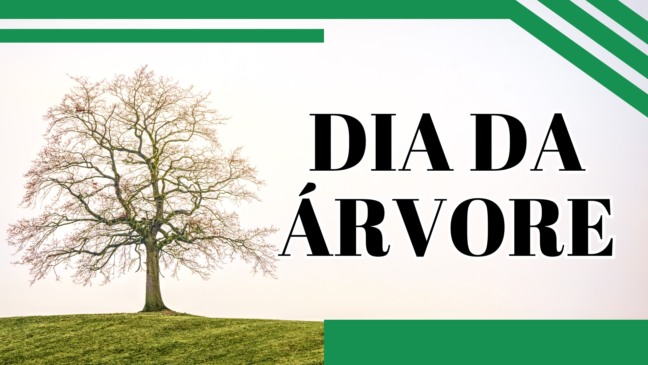 Atividade sobre o Dia da Árvore para o 4º e 5º ano