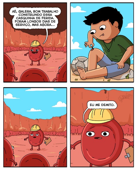 atividade sobre célula