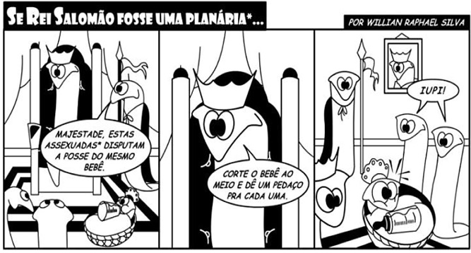 atividade sobre célula