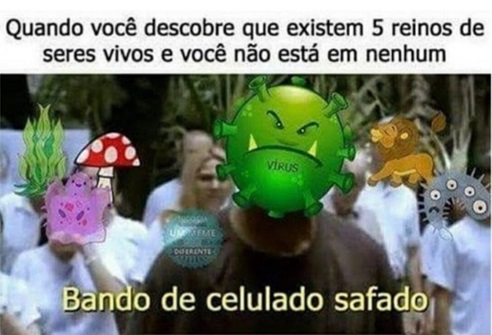 atividade sobre célula
