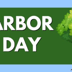 Atividade de Inglês sobre o Dia da Árvore - Anos Finais