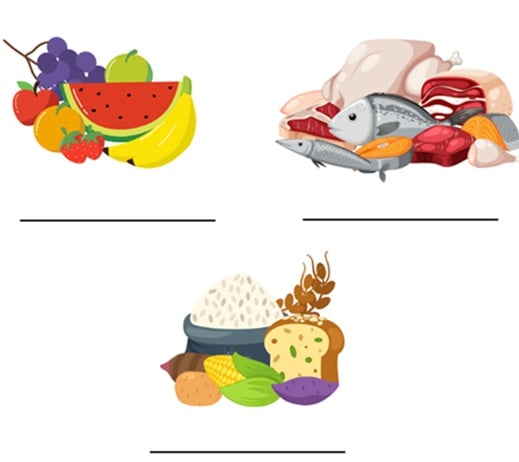 Atividade sobre a pirâmide alimentar