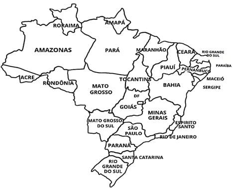 Atividade sobre floresta amazônica