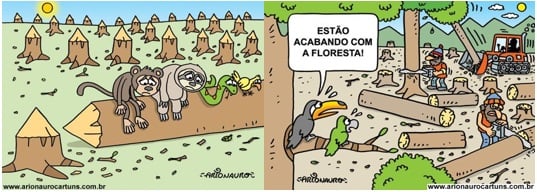 Atividade sobre floresta amazônica