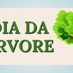 Atividade Dia da Árvore para o 1° ano Fundamental