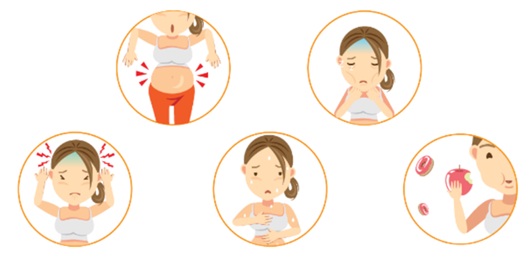 Atividade sobre ciclo menstrual e fecundação