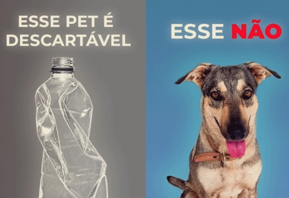 atividade sobre pronomes
