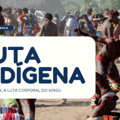 luta indígena