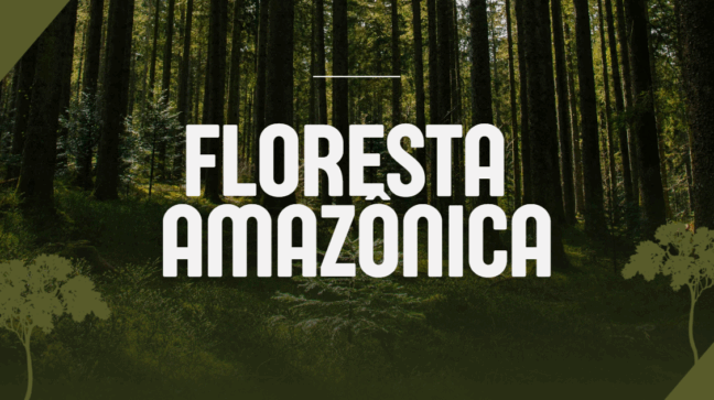 Atividade sobre a Floresta Amazônica - 4º e 5º ano