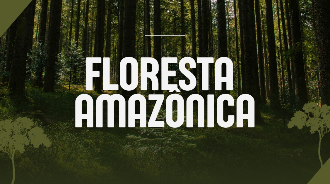 Atividade sobre floresta amazônica