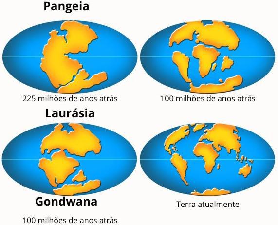 Atividade sobre deriva continental - 6º e 7º ano