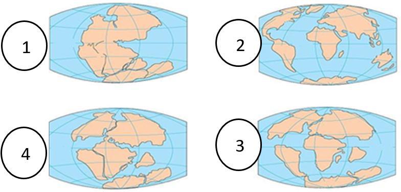 Atividade sobre deriva continental - 6º e 7º ano