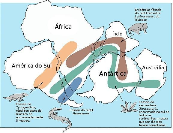 Atividade sobre deriva continental - 6º e 7º ano